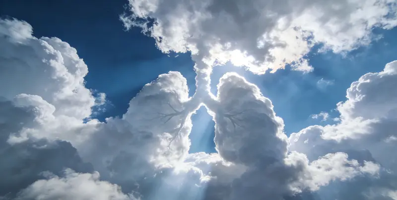 北京肺癌11基因检测组织版图片1