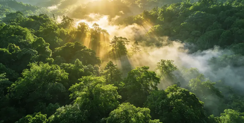 北京肺癌120基因ctDNA突变检测(血液）图片1