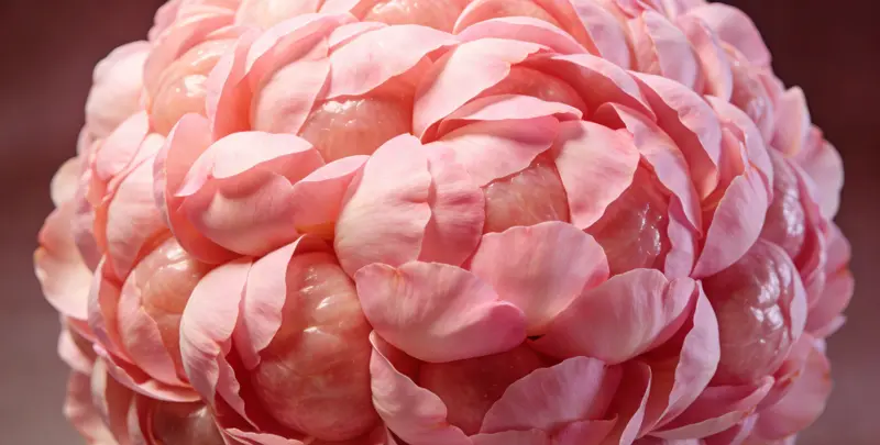 北京BRCA1/2乳腺癌卵巢癌基因检测图片1